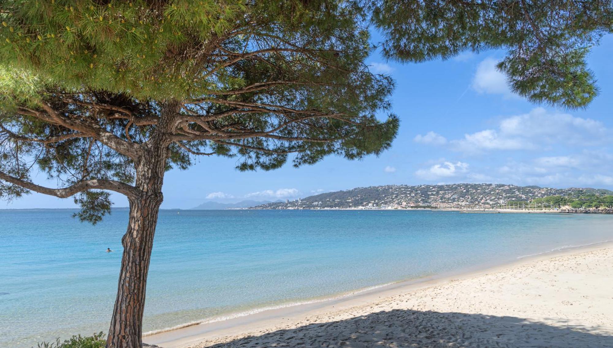 אנטיב Les 15 Pins & La Mer -Your Green Getaway Near Sea & Beach מראה חיצוני תמונה